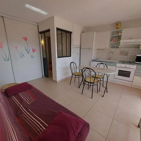 2 Pieces Avec Piscine Et Parking A Marseillan-plage - Fr-1-326-574