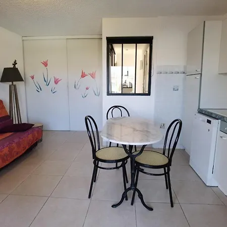 2 Pieces Avec Piscine Et Parking A Marseillan-plage - Fr-1-326-574 *