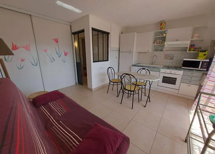 2 Pieces Avec Piscine Et Parking A Marseillan-plage - Fr-1-326-574