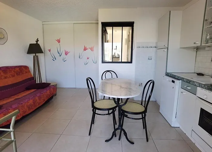 2 Pieces Avec Piscine Et Parking A Marseillan-plage - Fr-1-326-574 *